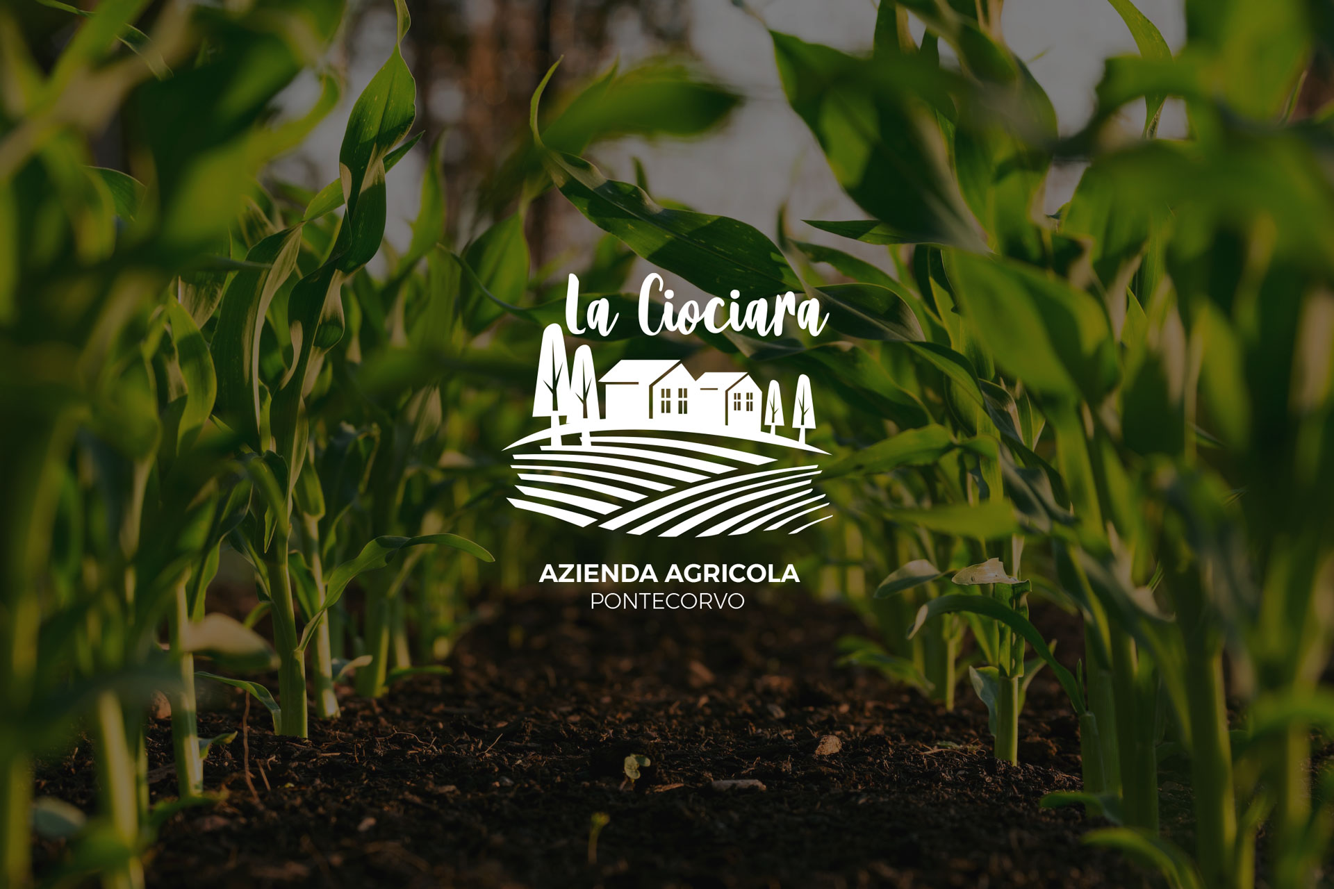 Azienda Agricola La Luciana